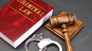 Criminal Defense Lawyer